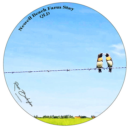 Birds on A Wire Circle 70mm x 70mm sticker