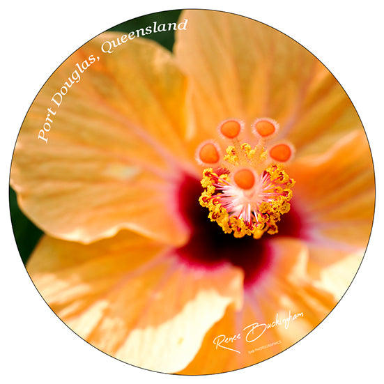 Port Douglas Circle 70mm x 70mm sticker 9412