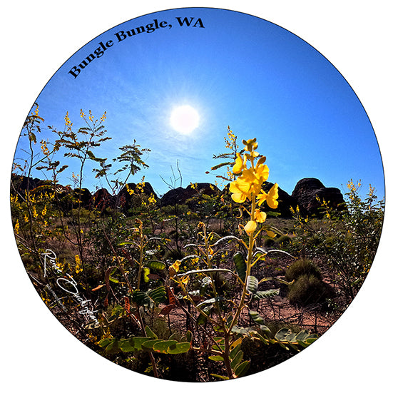 Bungle Bungles, WA Circle 70mm x 70mm sticker 731