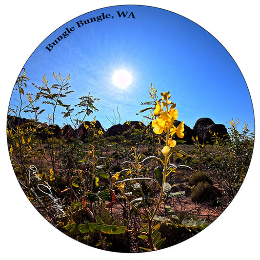 Bungle Bungles, WA Circle 70mm x 70mm sticker 731