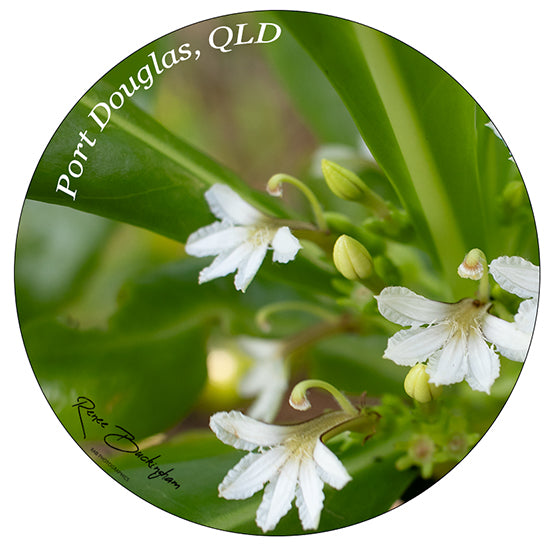 Port Douglas Circle 70mm x 70mm sticker 9383