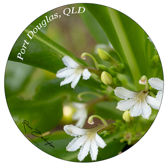 Port Douglas Circle 70mm x 70mm sticker 9383